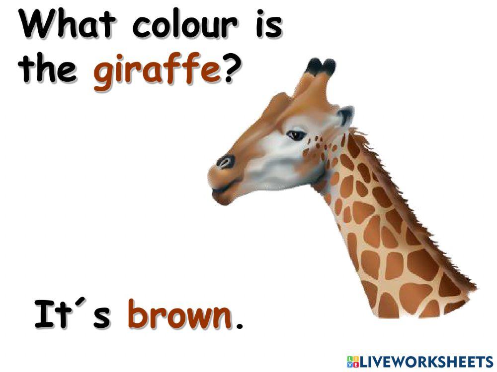 What colour is the 1. časť What colour is the 1. časť