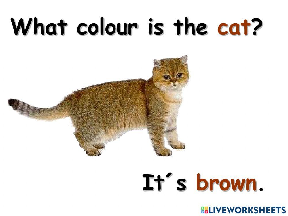 What colour is the 1. časť What colour is the 1. časť