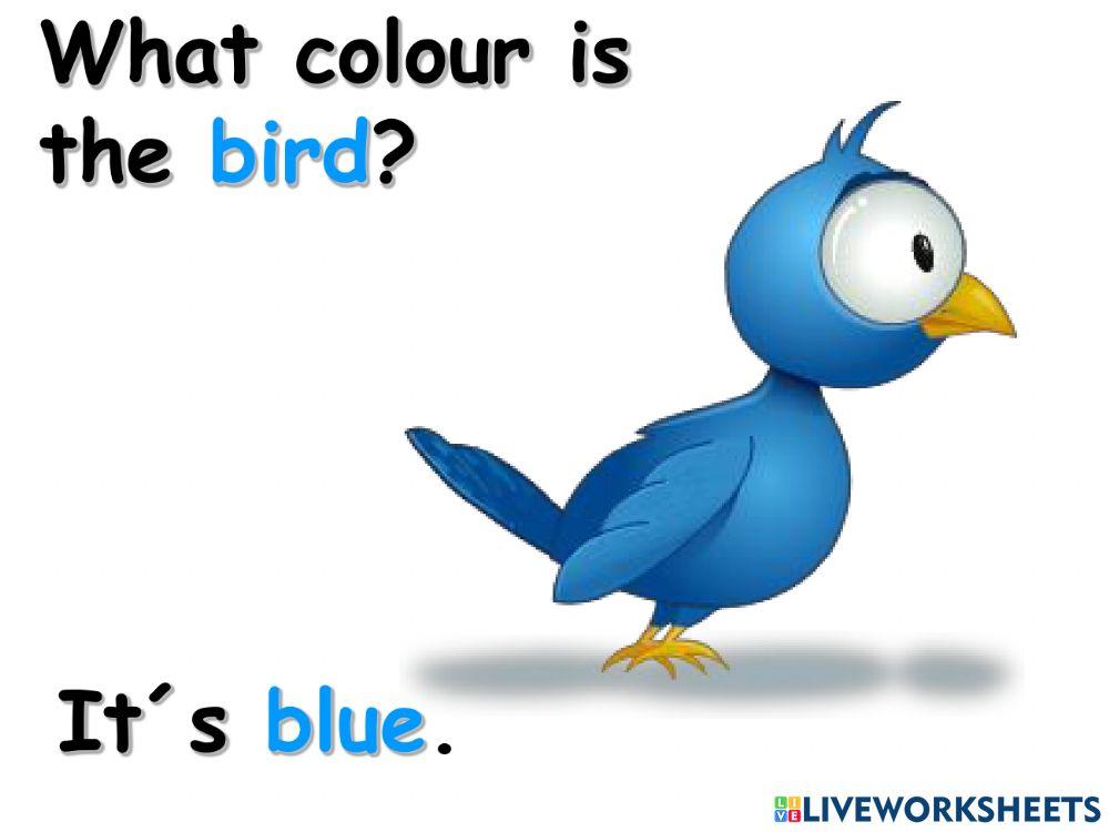 What colour is the 1. časť What colour is the 1. časť