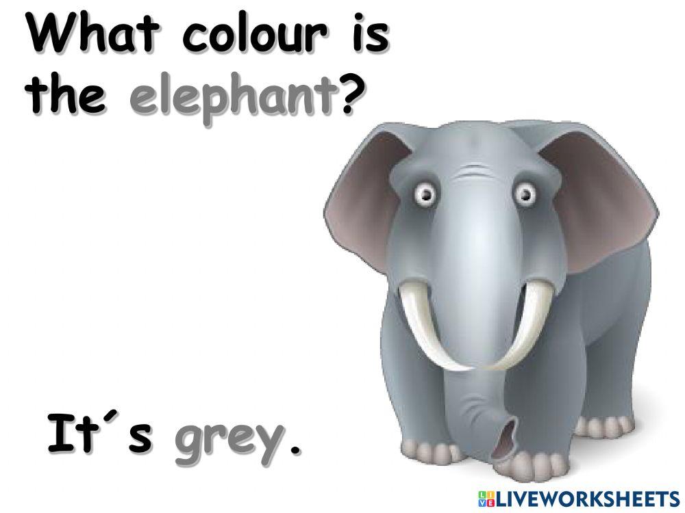 What colour is the 1. časť