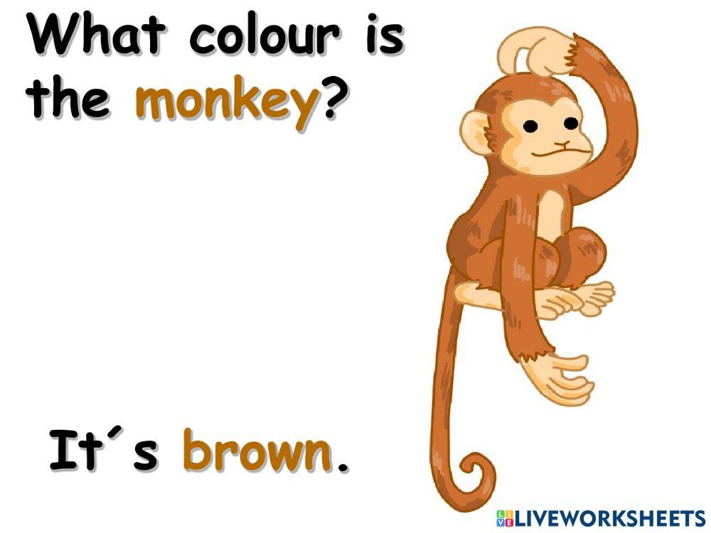What colour is the 1. časť What colour is the 1. časť