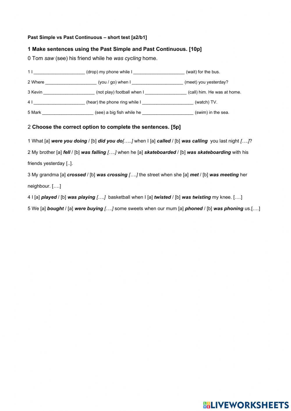 Past Simple and Past Continuous grammar