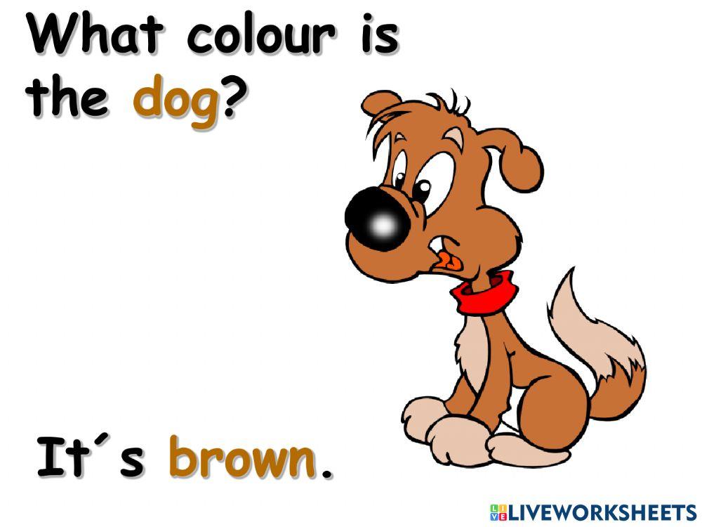 What colour is 2