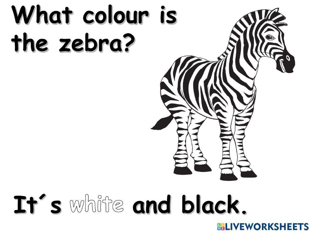 What colour is 2