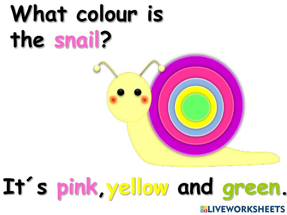 What colour is 2