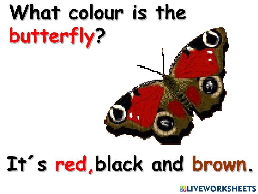 What colour is 2