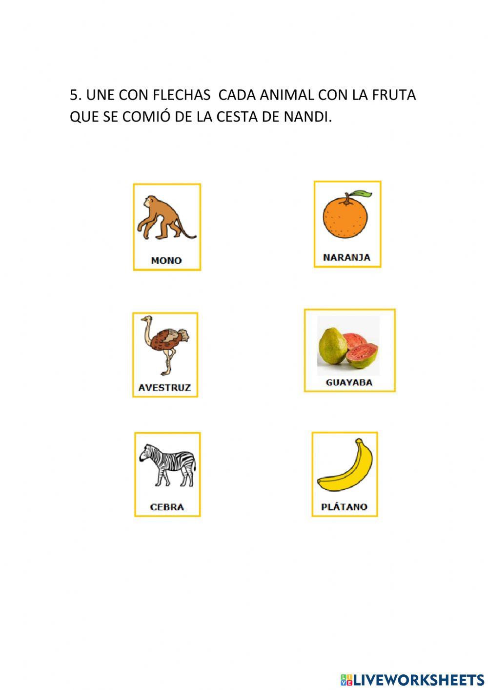 La sorpresa de nandi -1