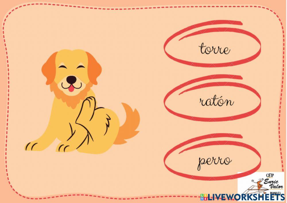 Elige LA PALABRA ADECUADA R RR