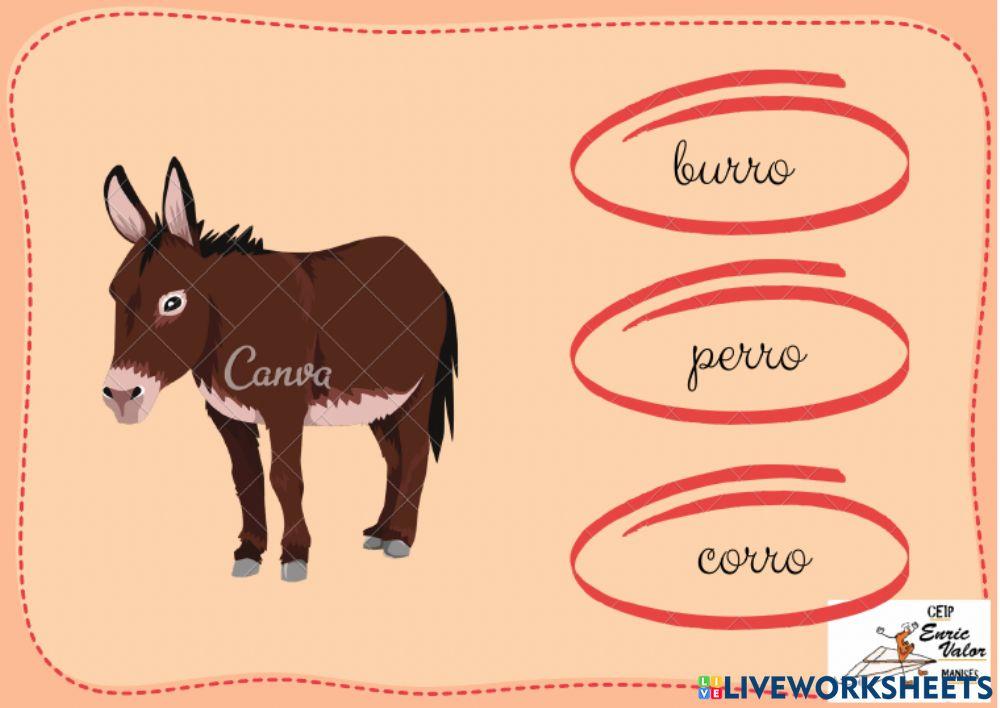 Elige LA PALABRA ADECUADA R RR