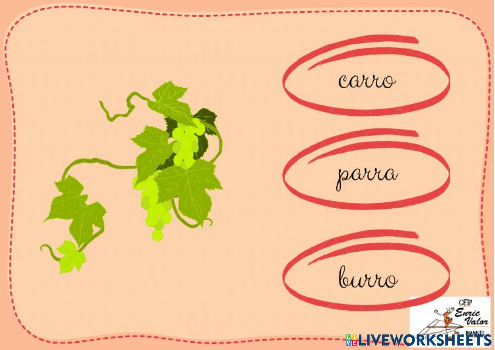 Elige LA PALABRA ADECUADA R RR