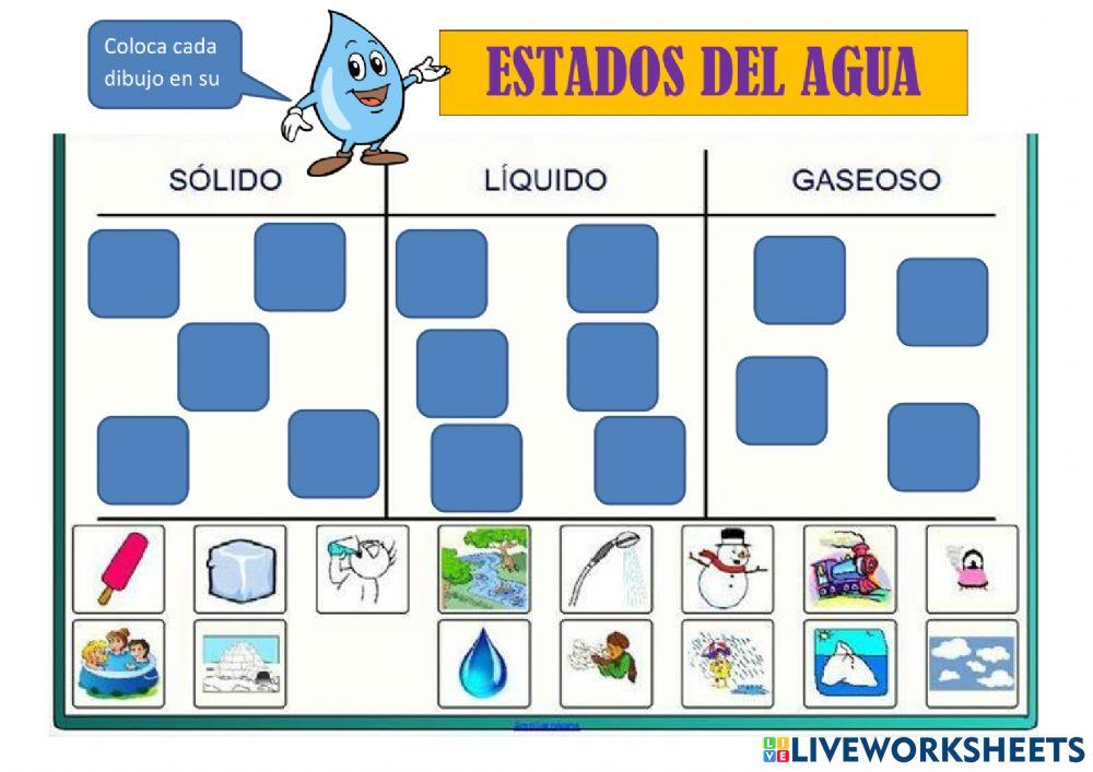 Estados del agua-1º primaria