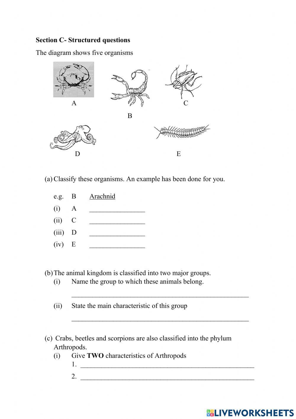 Grade 7 Unit Test Invertebrates