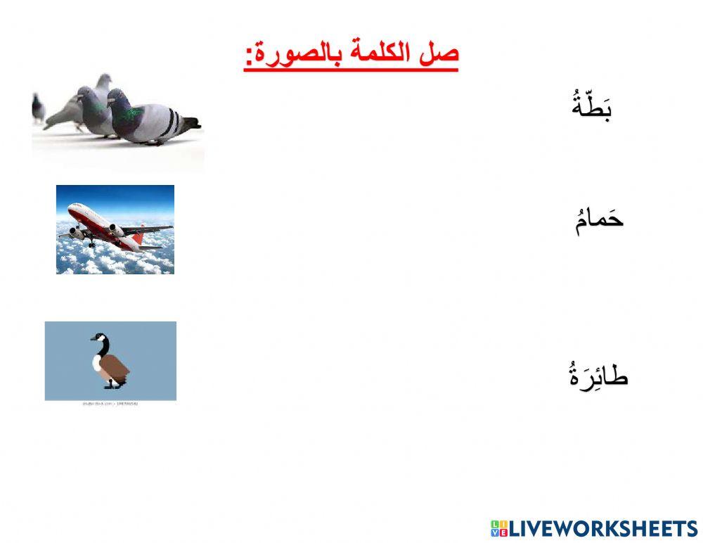 ورقة عمل فئة ج عالم الطيران