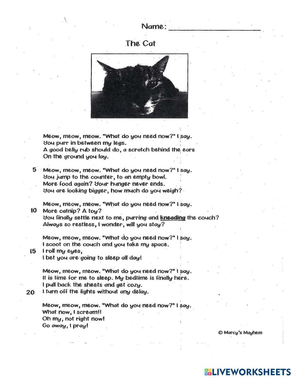 The Cat - A Poem