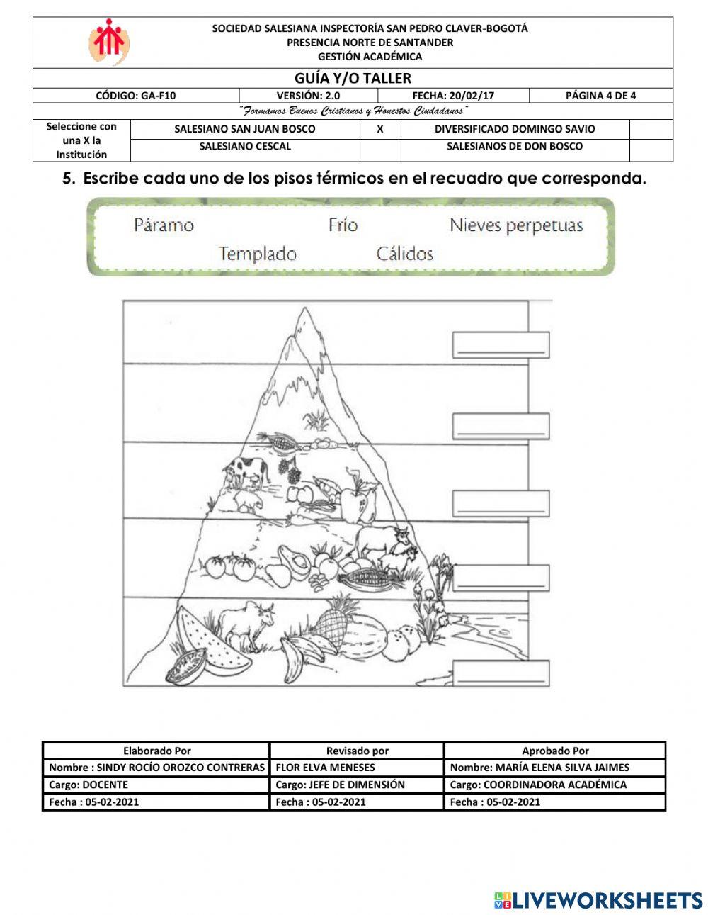 Prueba diagnóstica pensamiento humanístico 501