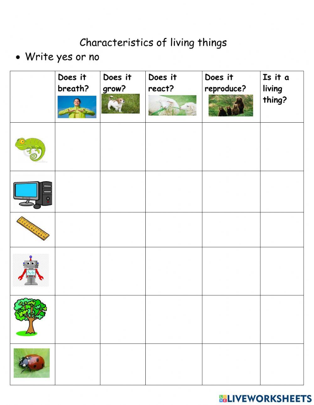 Characteristics of living thing