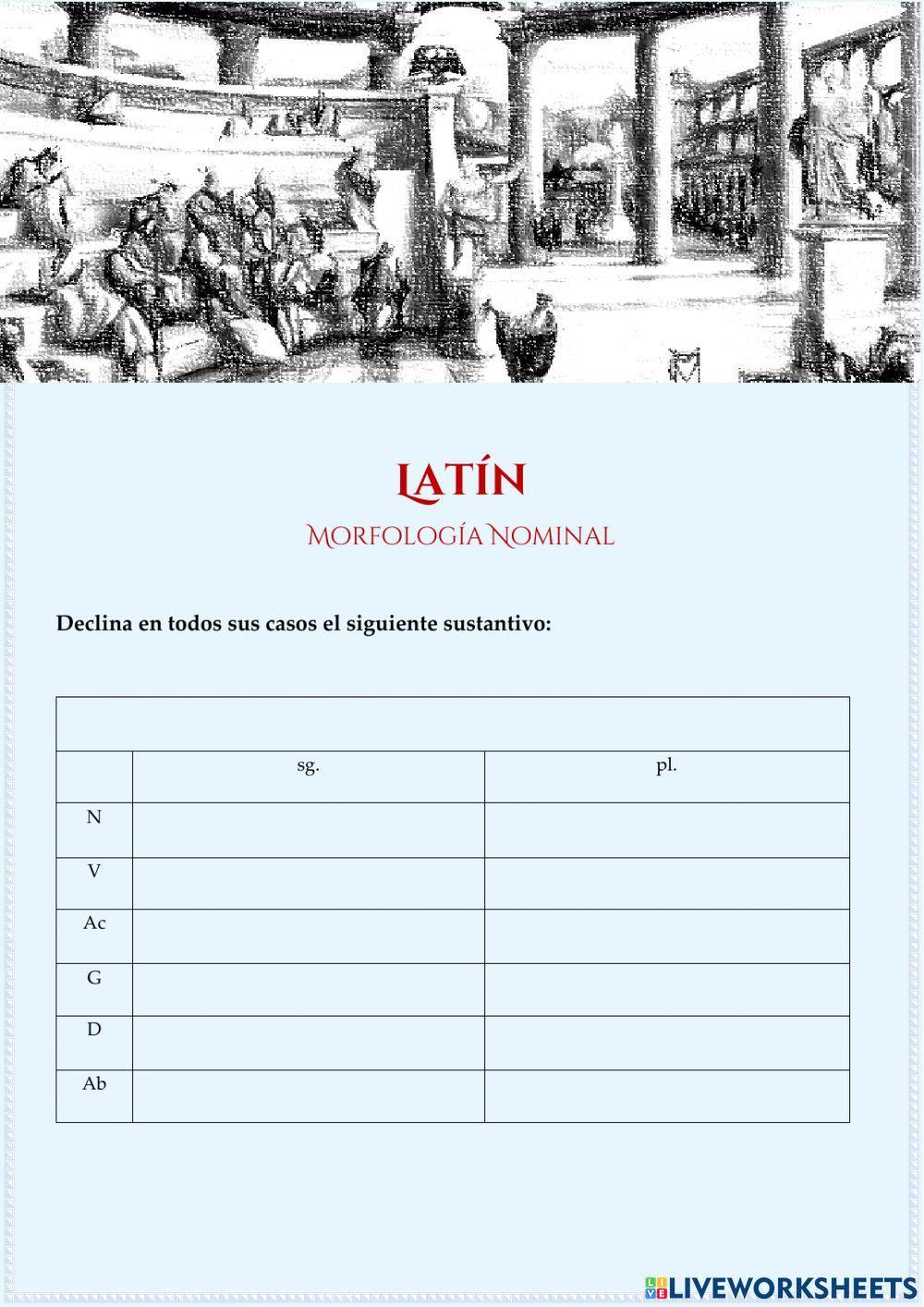 amicus -i (m.) - Declinación nominal Latín - Declina escribiendo por completo el sustantivo en todos sus casos