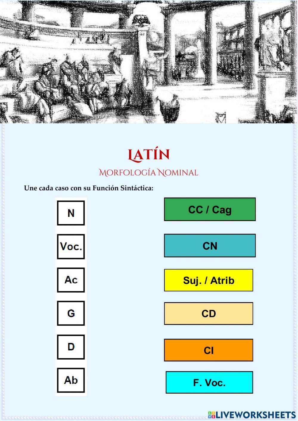 Casos y funciones sintácticas