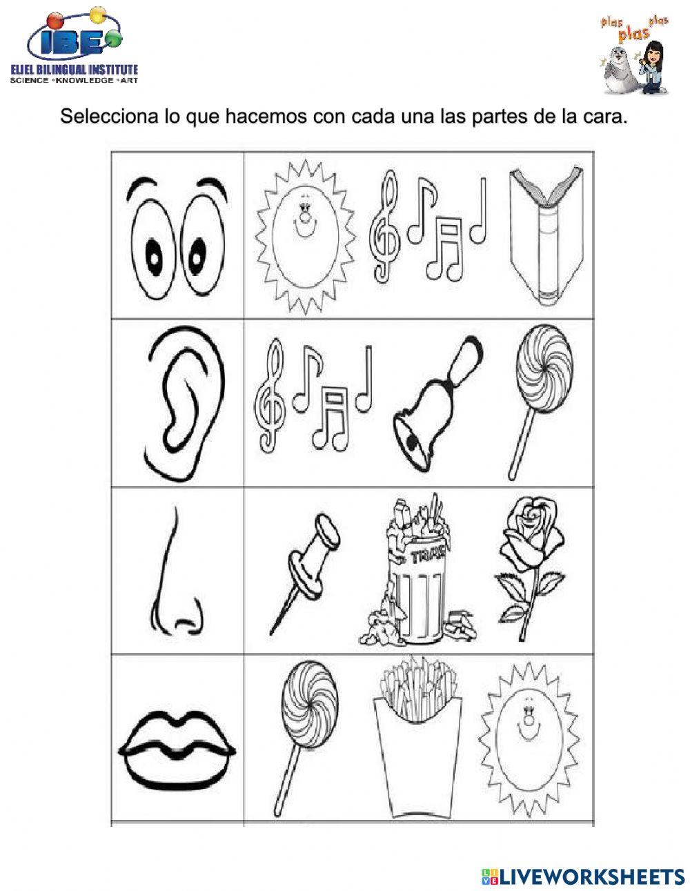 Conocimiento del medio