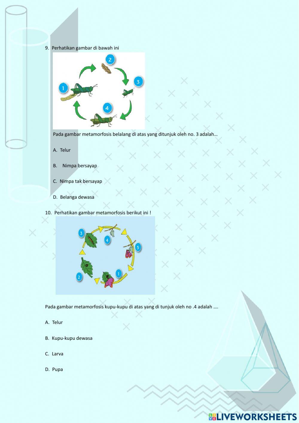Penilaian Harian Tema 6 Subtema1