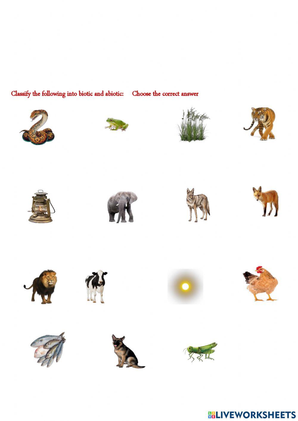 Components of an Ecosystem