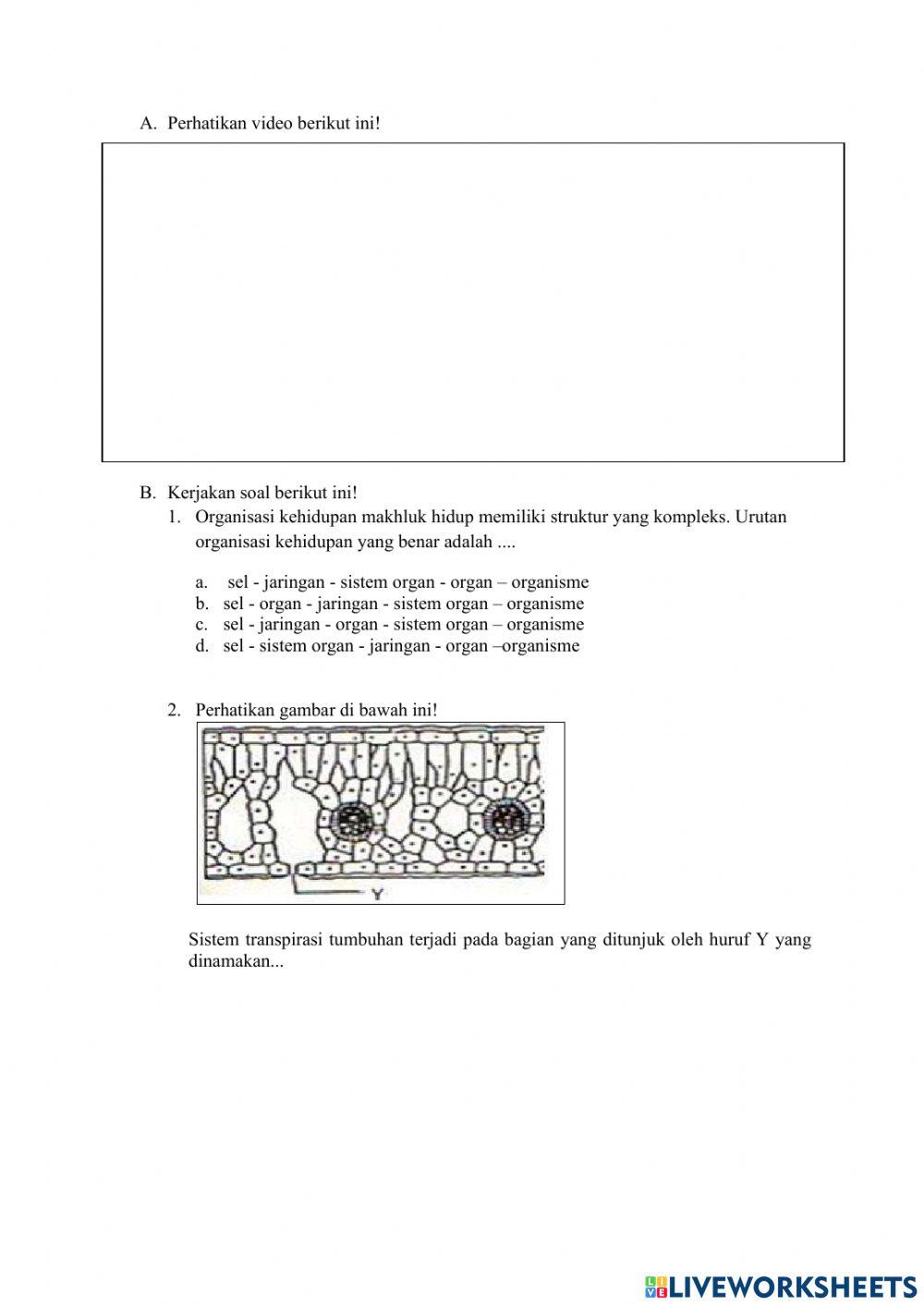 Organisasi Kehidupan