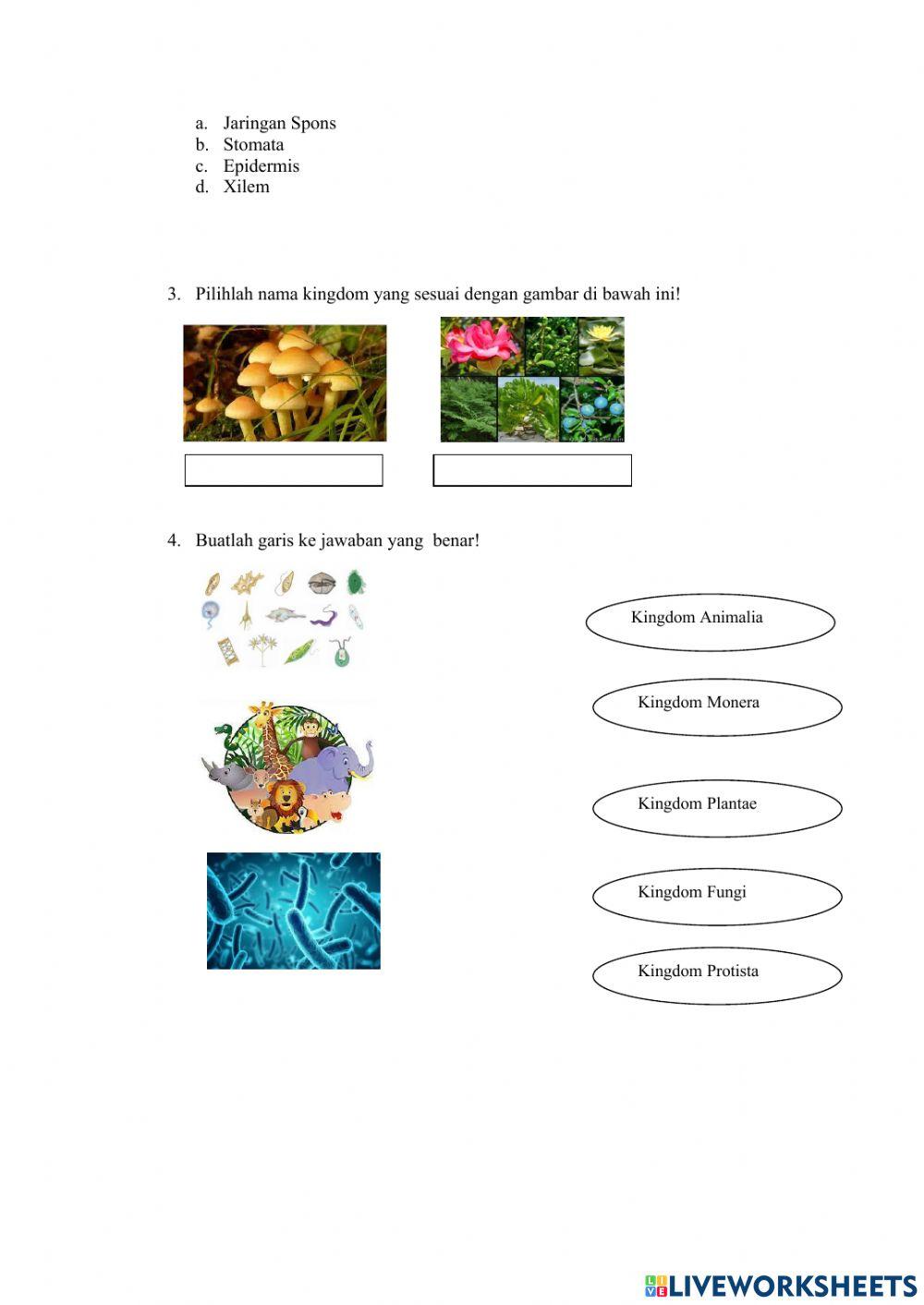 Organisasi Kehidupan