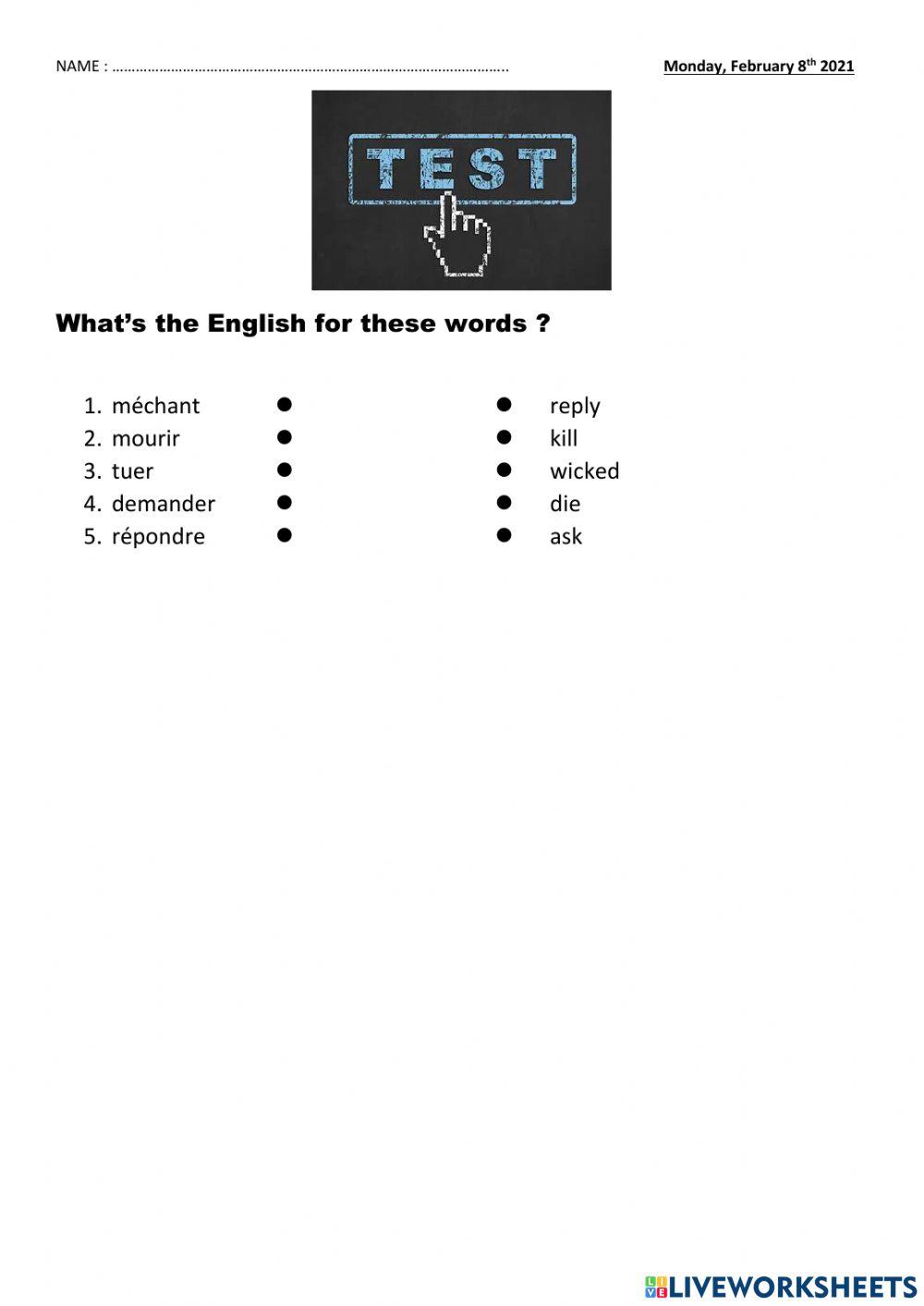 Test 5e Vocabulary Snowwhite PAP