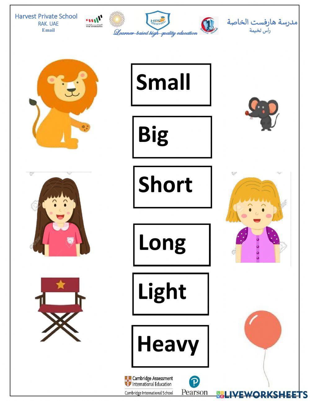 Similarities and Differences of an object