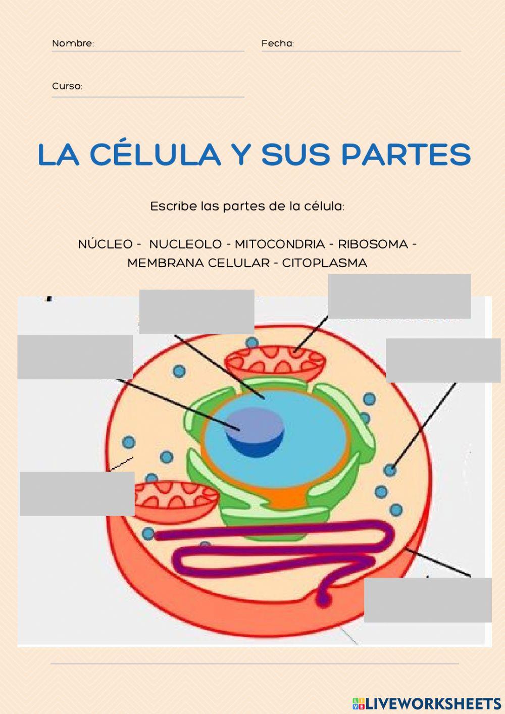 Ficha curso herramientas digitales