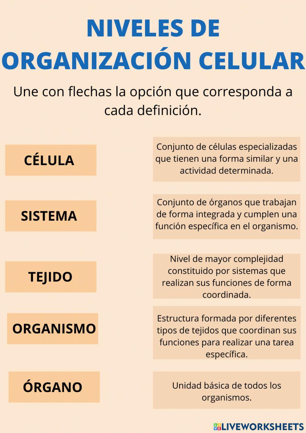 Ficha curso herramientas digitales