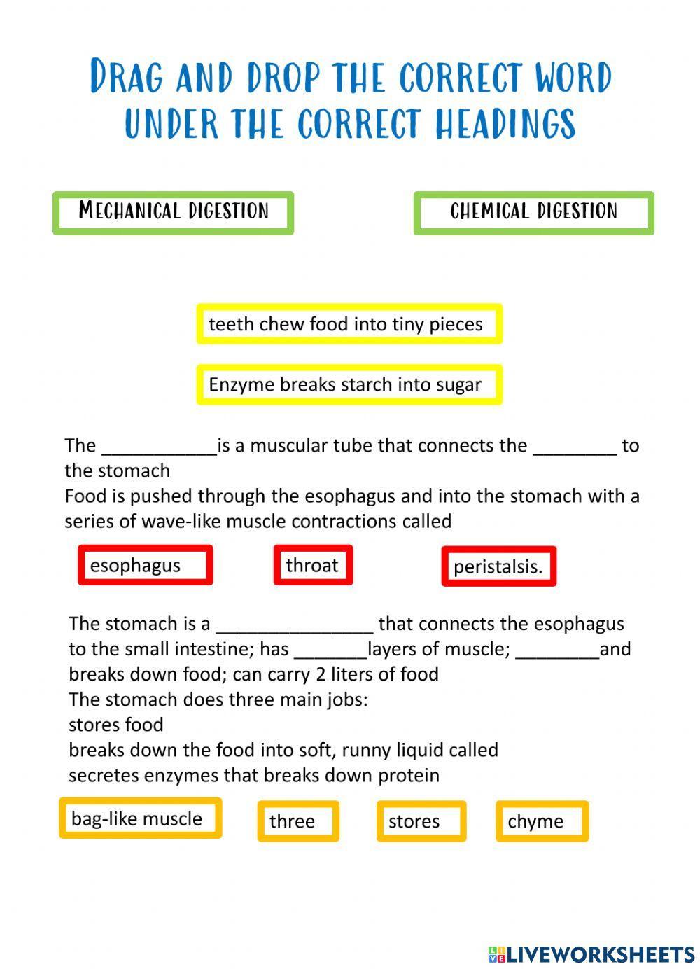 Digestive system-special needs