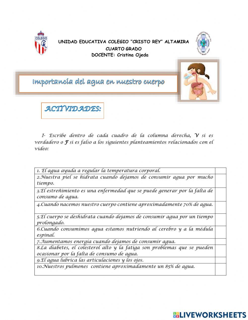 Importancia del agua en nuestro cuerpo