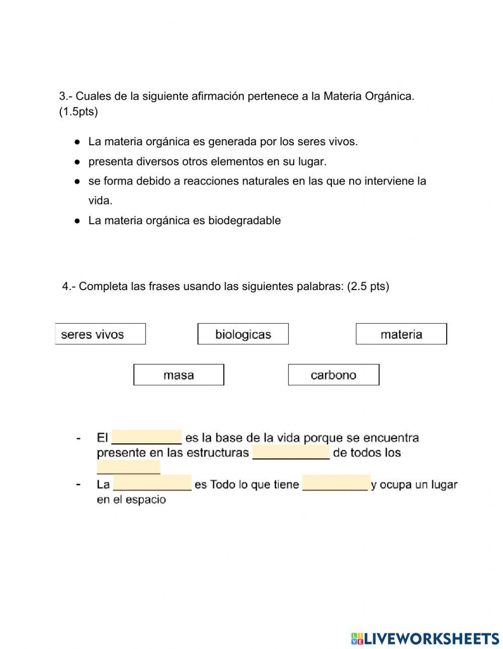 Ticket de salida IV Ciclo BS