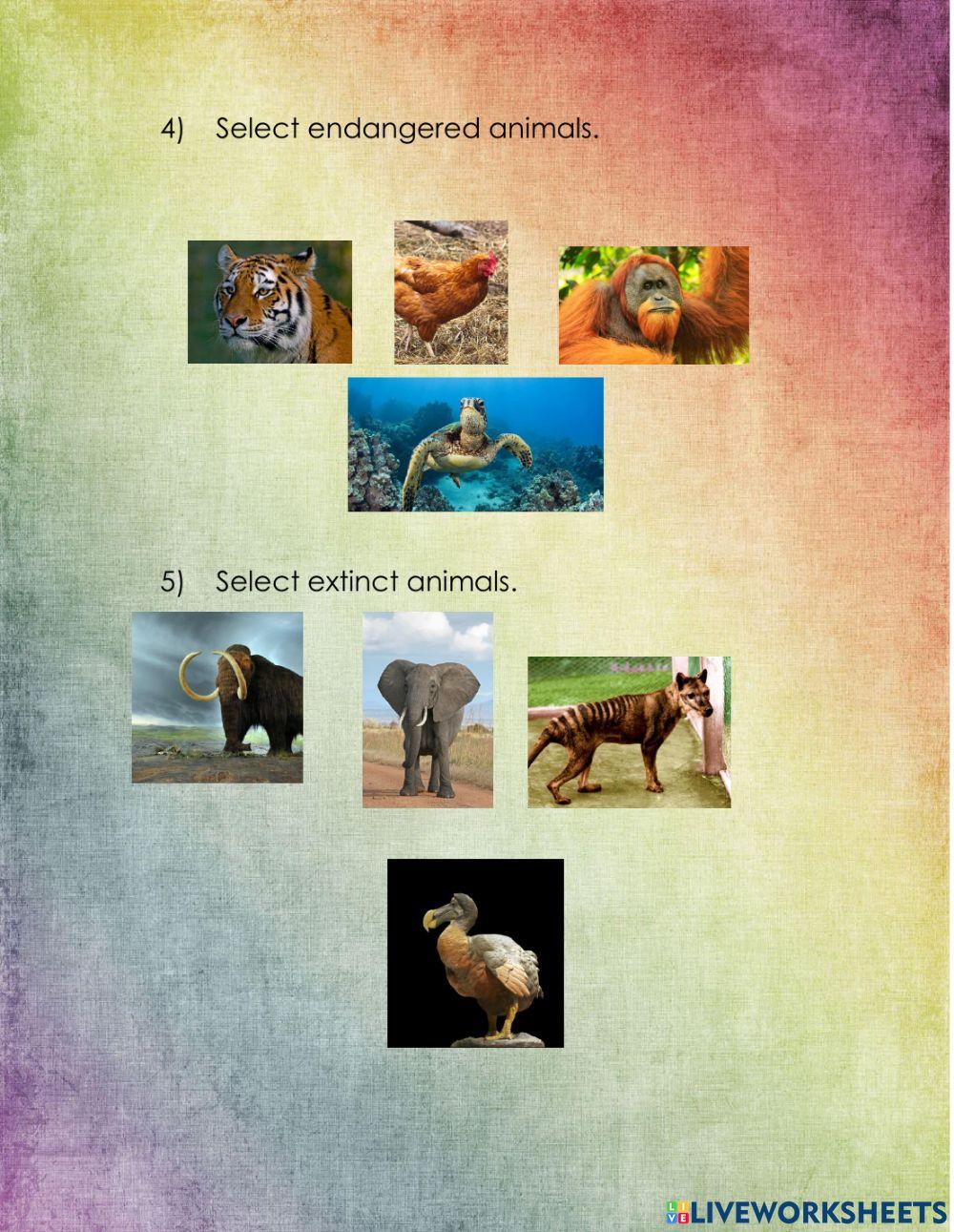 Endangered and extinct animals