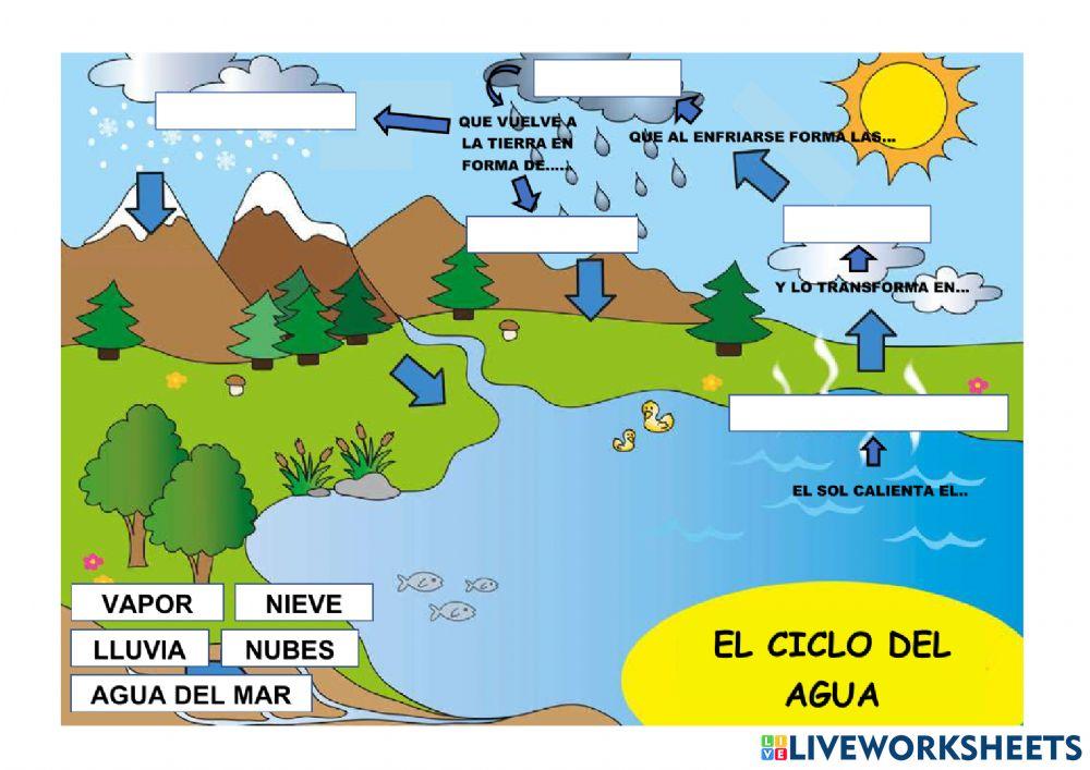 Ciclo del agua