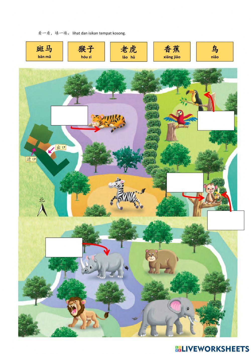 Bcsk tahun 3 单元十二 走，到动物园去 （识字）