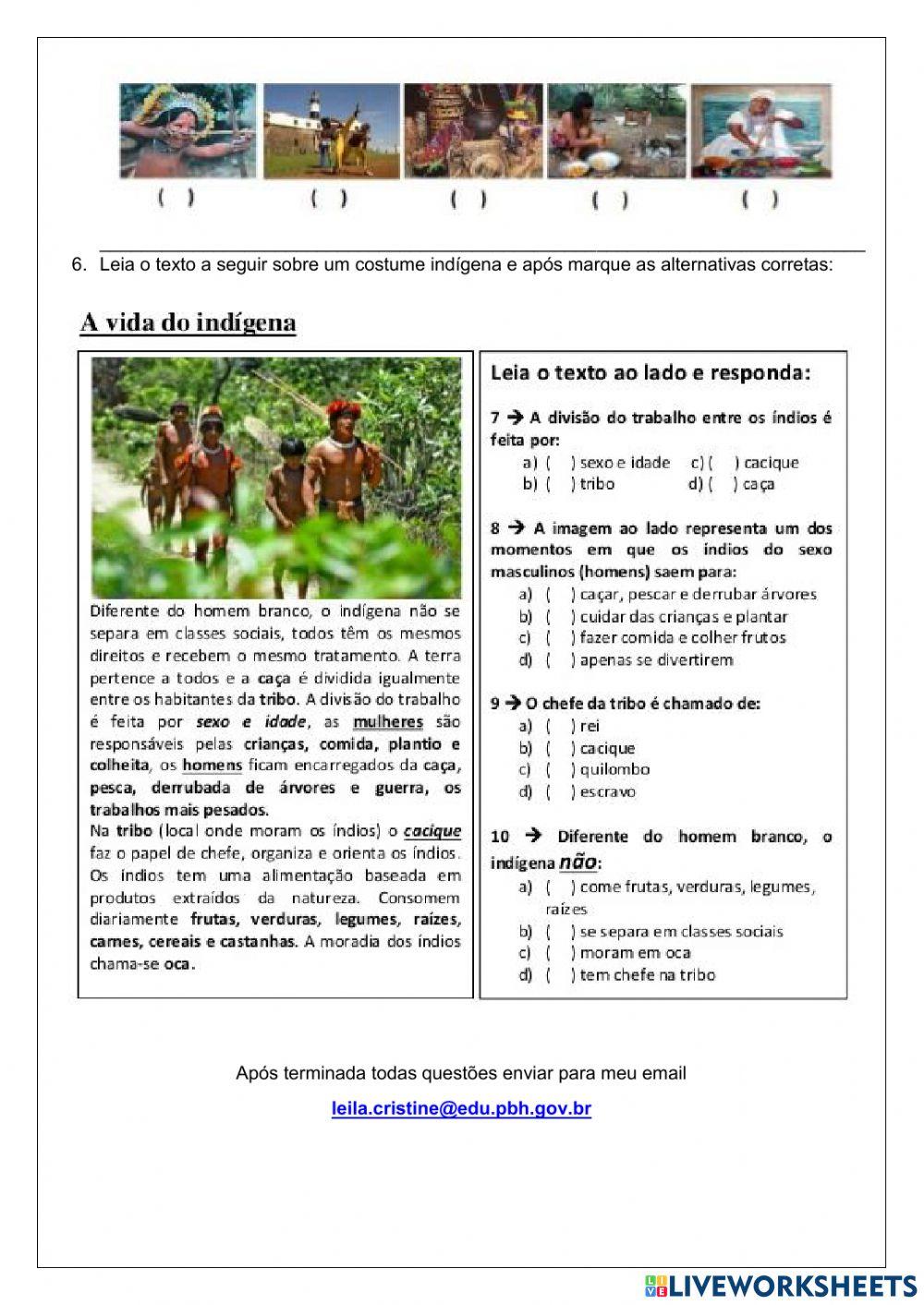 Revisão diversidade