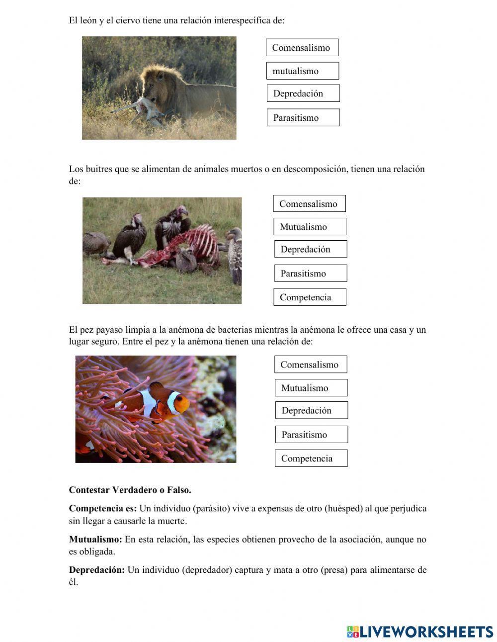 Relaciones entre animales