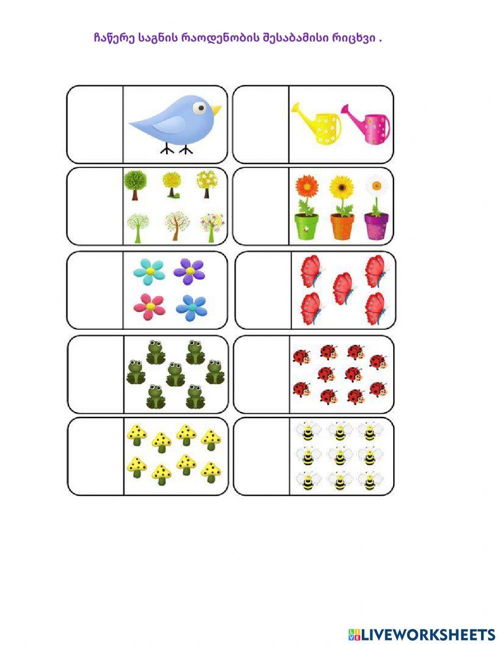 Მათემატიკა