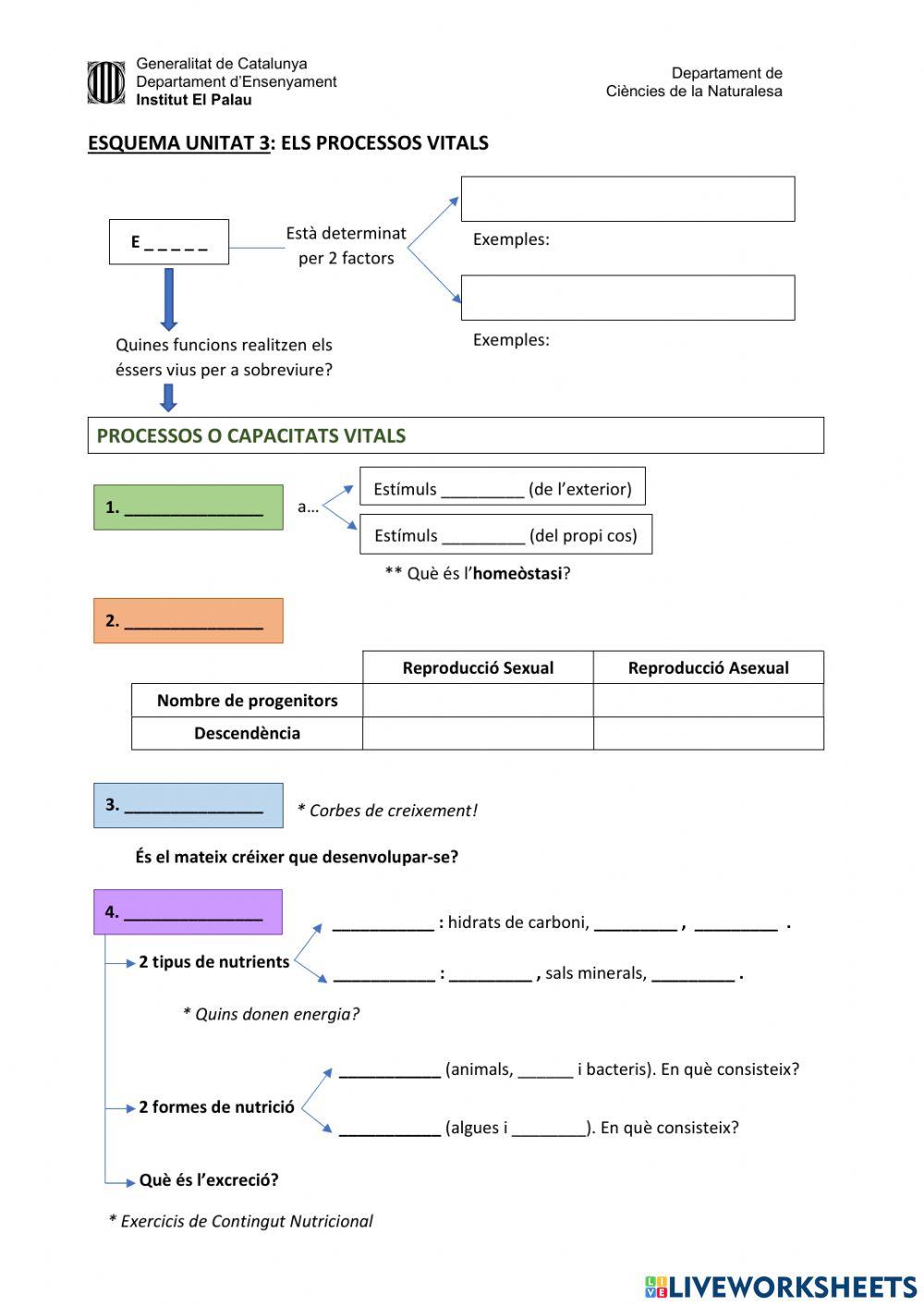 Esquema Processos Vitals