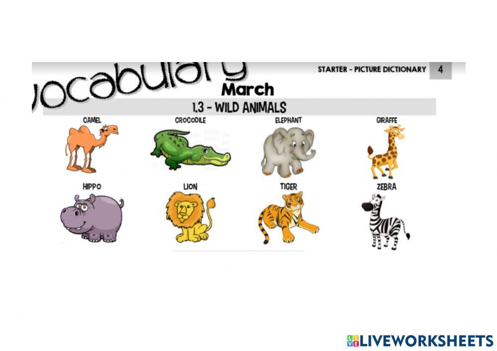 Wild animals vocabulay
