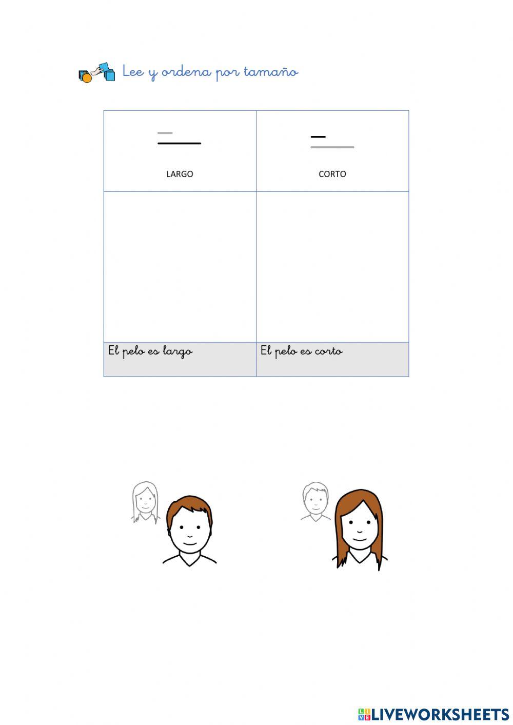 Concepto básico: longitud