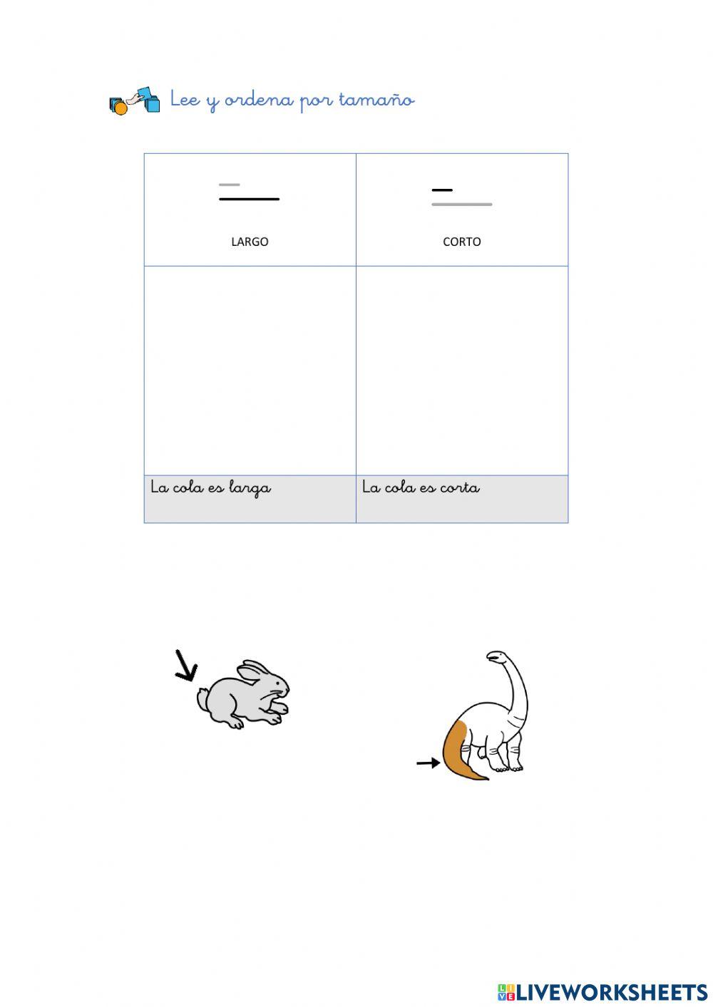 Concepto básico: longitud