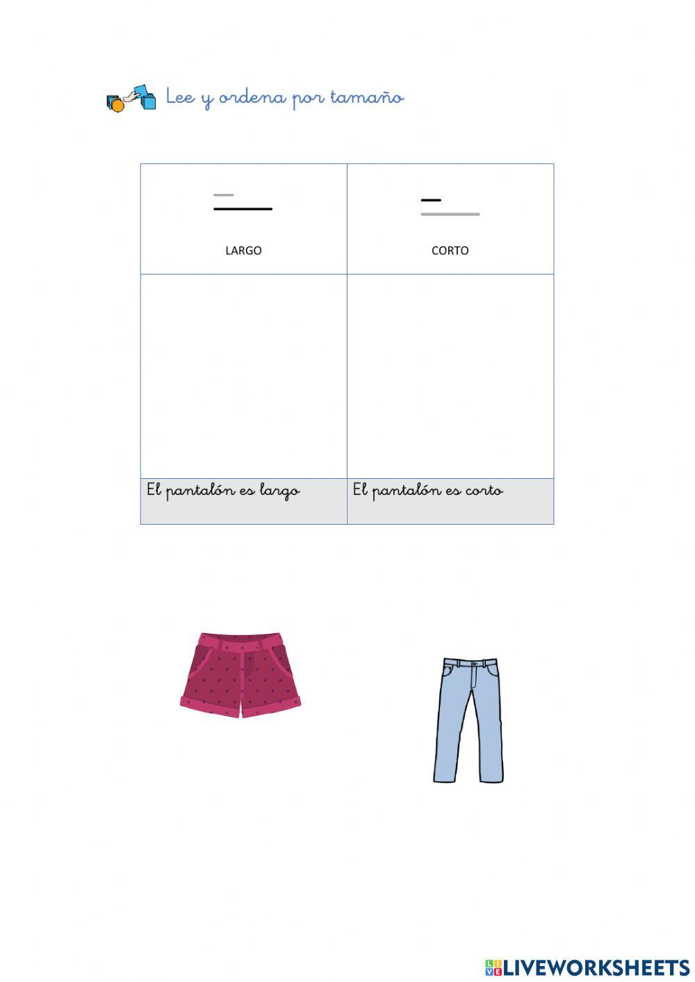 Concepto básico: longitud