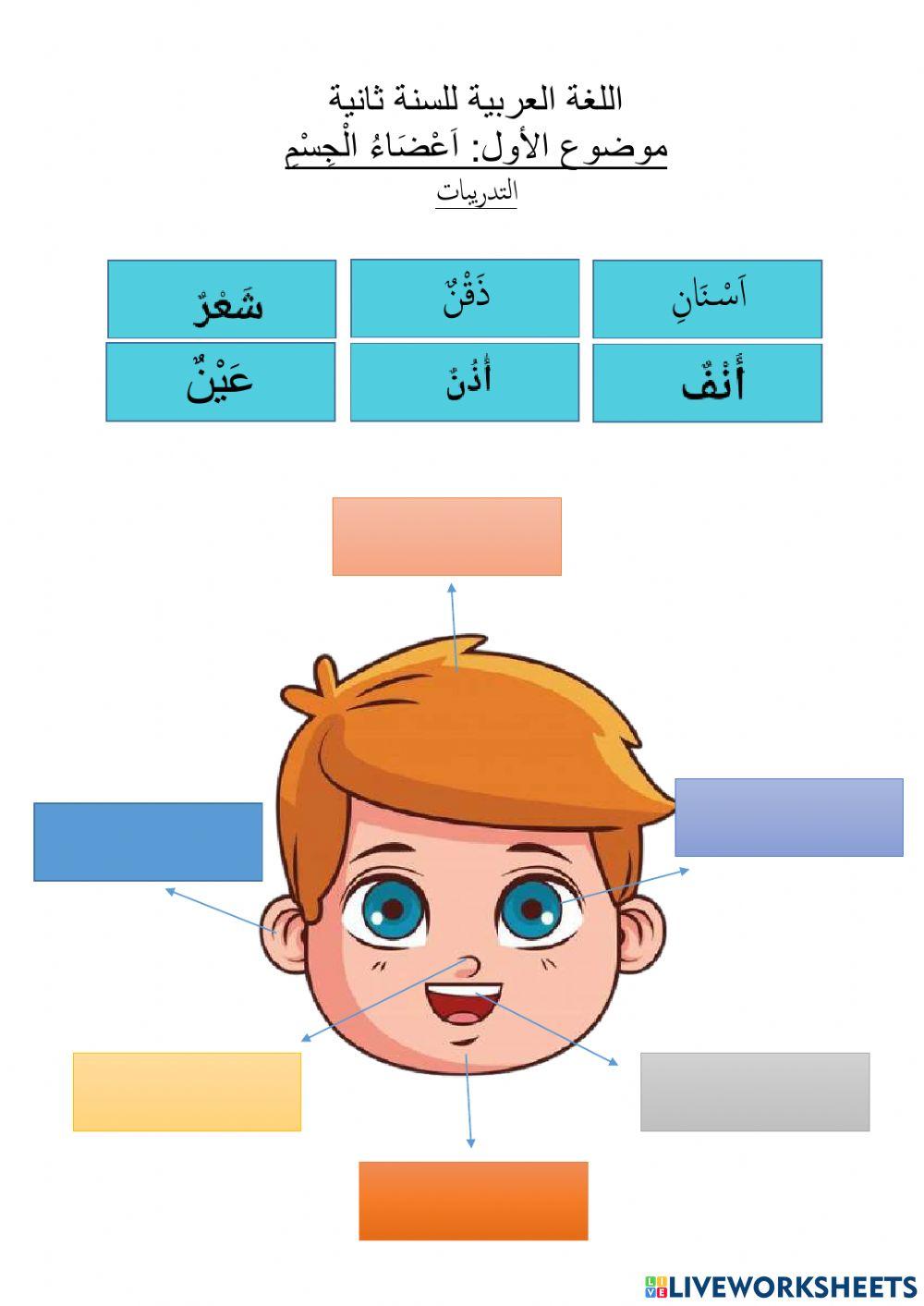 Latihan Bahasa Arab Anggota Badan