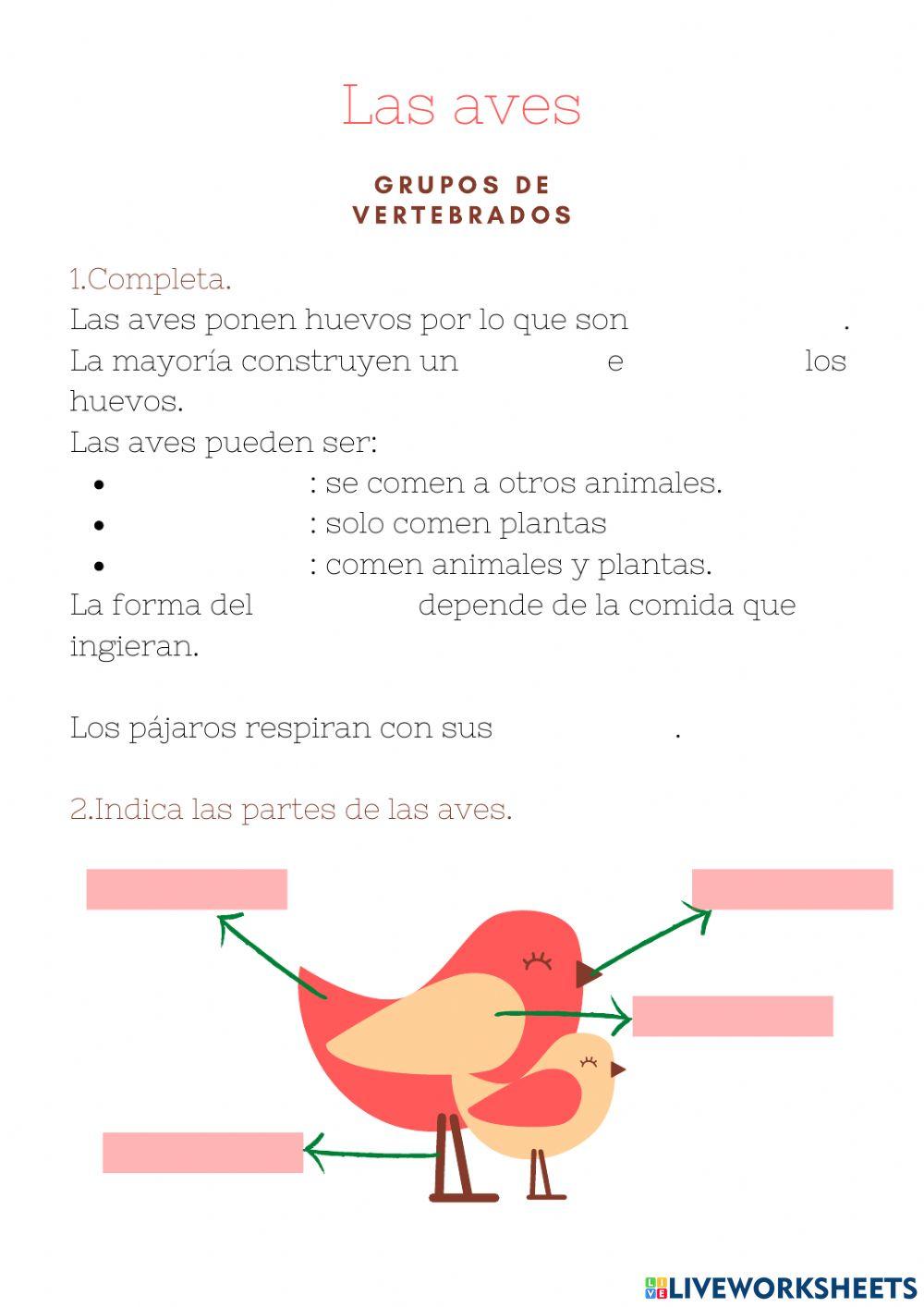 Las aves Las aves