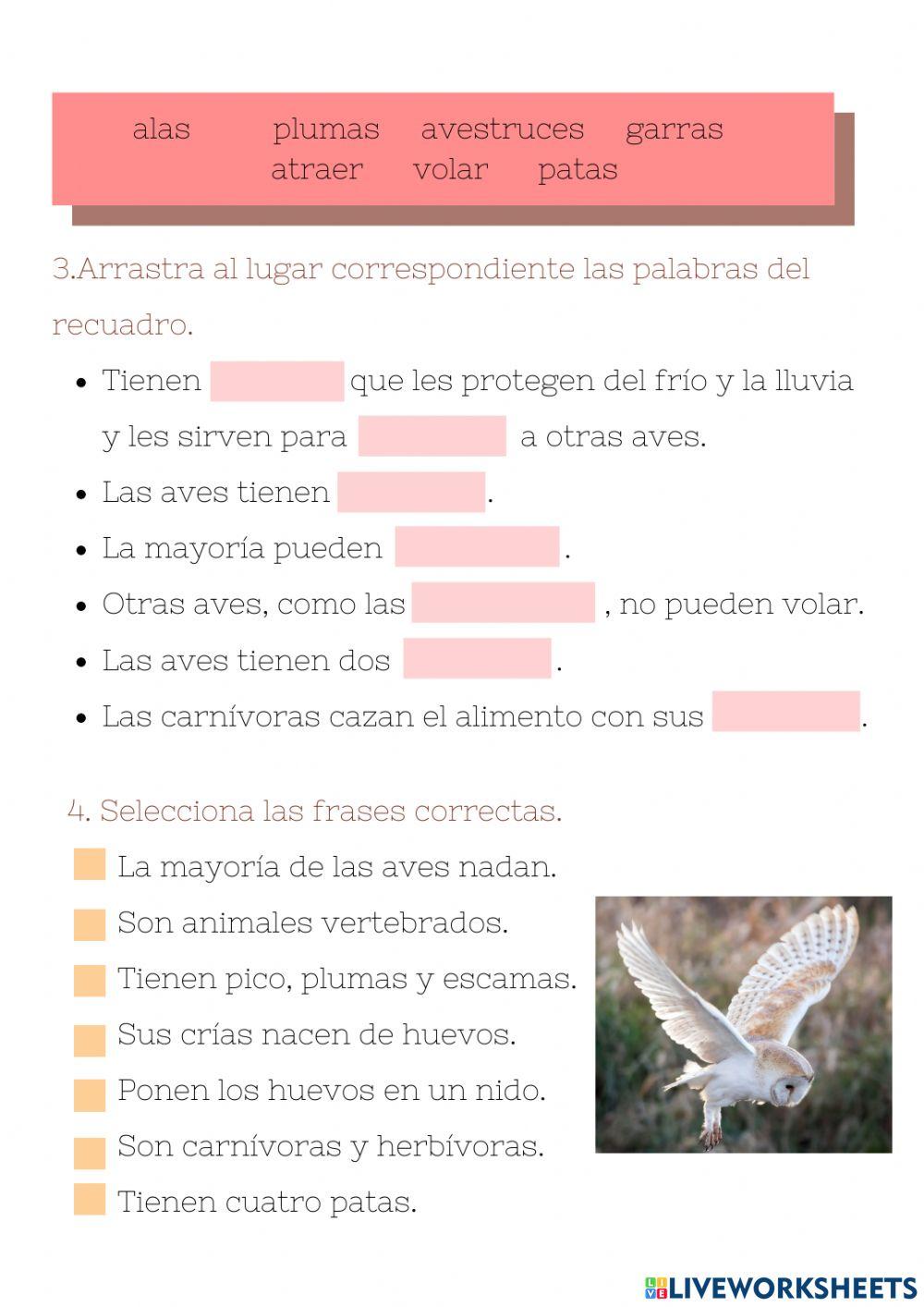 Las aves Las aves