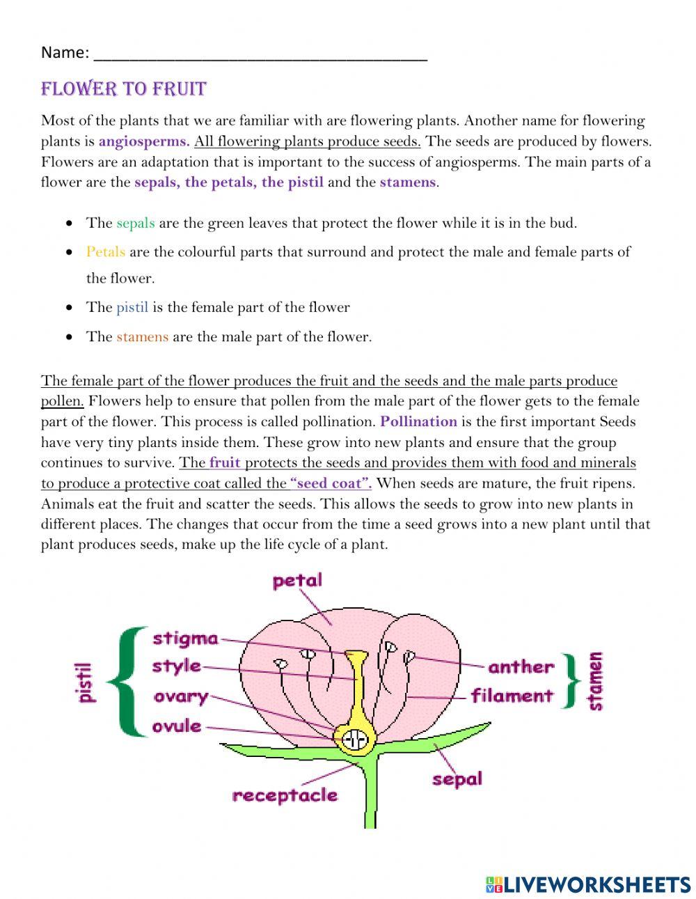 Flower to Fruit Notes
