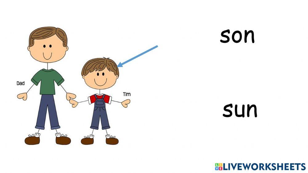 Son online exercise for | Live Worksheets
